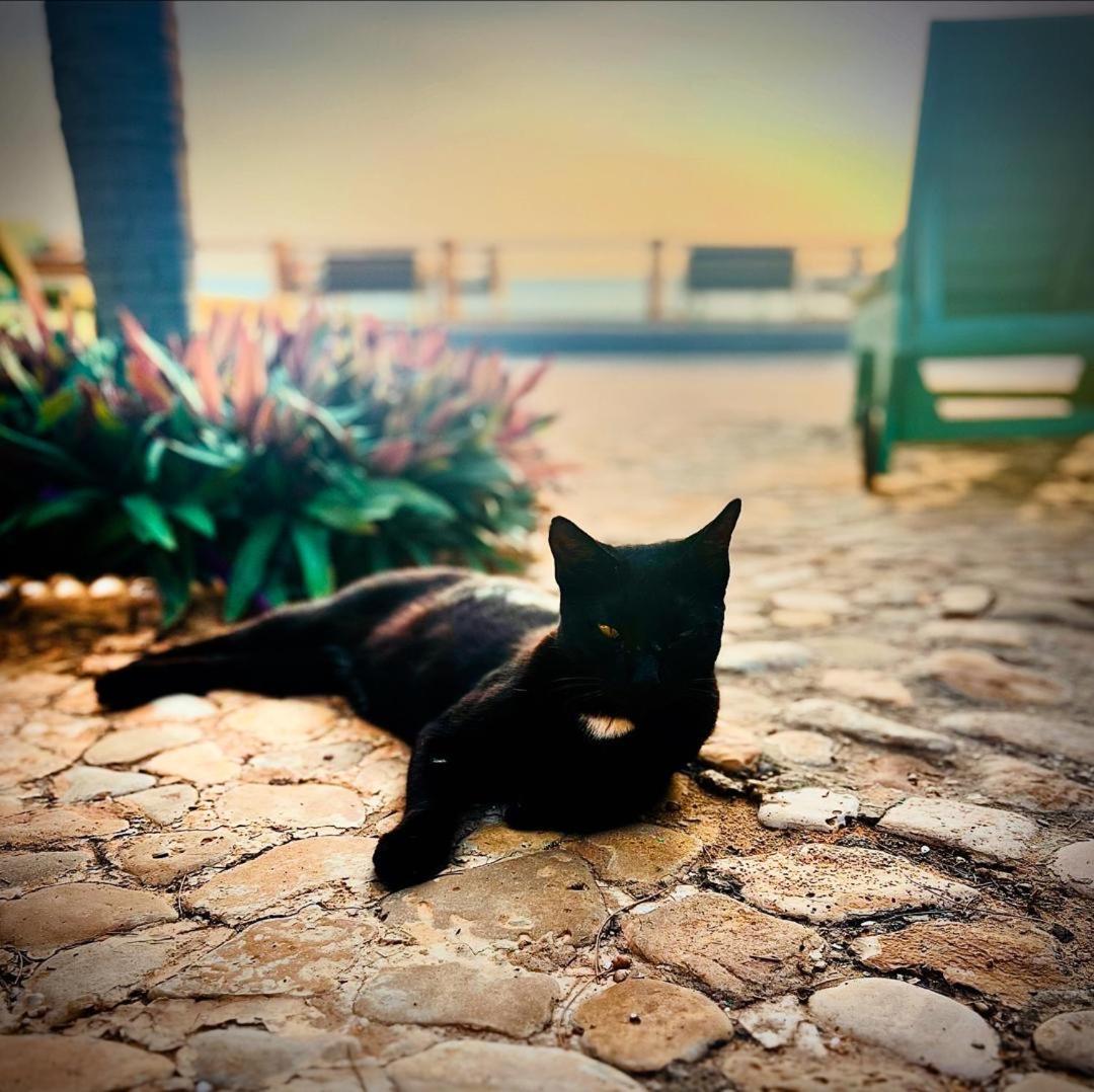 B&B Pieds Dans L'Eau Popenguine Dış mekan fotoğraf